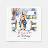 Serviette En Papier Peter lapin hiver fête d'anniversaire vaisselle (Devant)