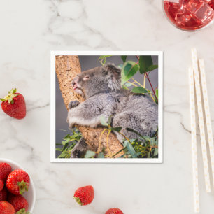 Serviette En Papier Petit koala doux
