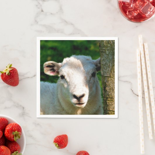 SERVIETTE EN PAPIER PETIT MOQUETTE (En situation)