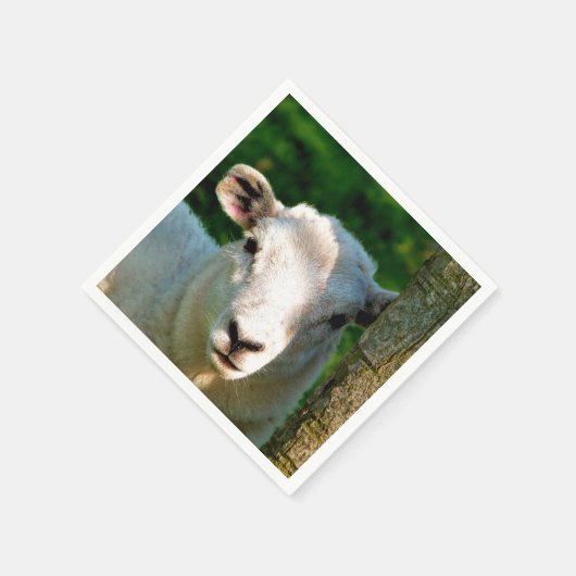 SERVIETTE EN PAPIER PETIT MOQUETTE (Coin)