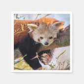 Serviette En Papier Petit panda rouge pâle (Devant)