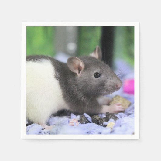 Serviette En Papier Petit rat (Devant)
