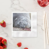 Serviette En Papier Phoque d'éléphant dormant (En situation)