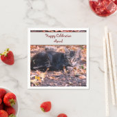 Serviette En Papier Photo Cat (En situation)