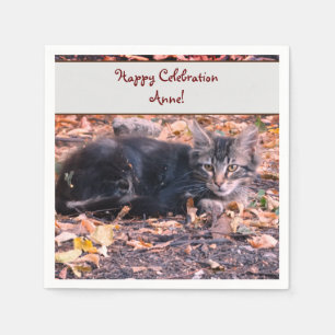 Serviette En Papier Photo Cat