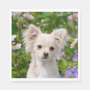 Serviette En Papier Photo crème à cheveux longs mignonne de chiot de
