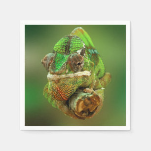 Serviette En Papier Photo de caméléon