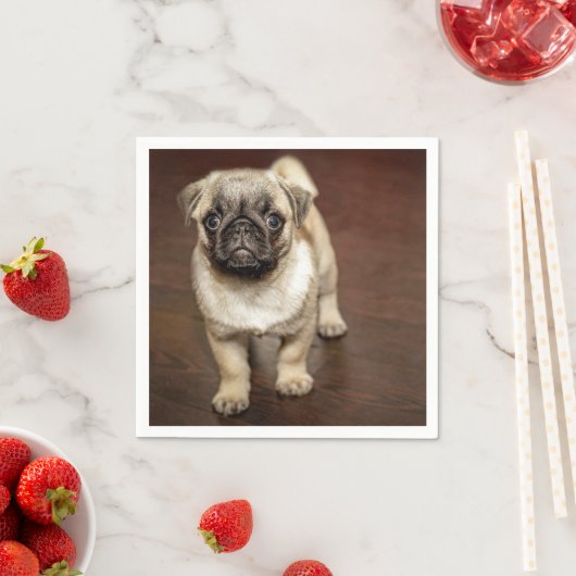 Serviette En Papier Photo de chien Brown carlin (En situation)