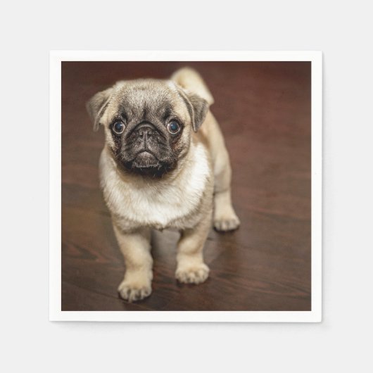 Serviette En Papier Photo de chien Brown carlin (Devant)
