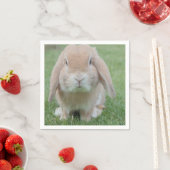 Serviette En Papier photo de lapin grave (En situation)