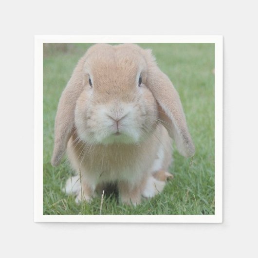 Serviette En Papier photo de lapin grave (Devant)
