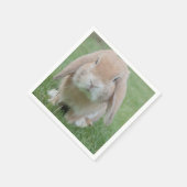 Serviette En Papier photo de lapin grave (Coin)