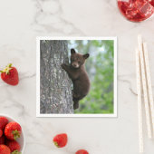 Serviette En Papier Photo de l'arbre de l'ours Brown (En situation)