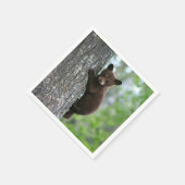 Serviette En Papier Photo de l'arbre de l'ours Brown (Coin)