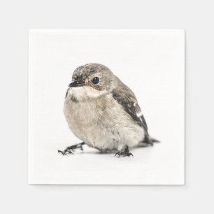 Serviette En Papier Photo de petit oiseau brun de jardin