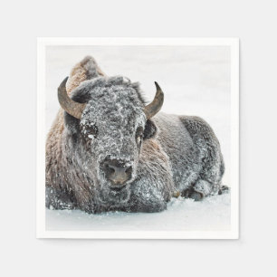 Serviette En Papier Photo de Wildlife Buffalo Snow
