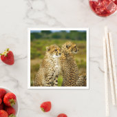 Serviette En Papier Photo de Wildlife Cheetah (En situation)