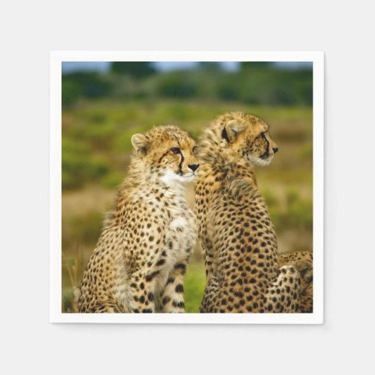 Serviette En Papier Photo de Wildlife Cheetah (Devant)