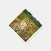 Serviette En Papier Photo de Wildlife Cheetah (Coin)