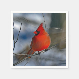 Serviette En Papier Photo du cardinal Red Winter