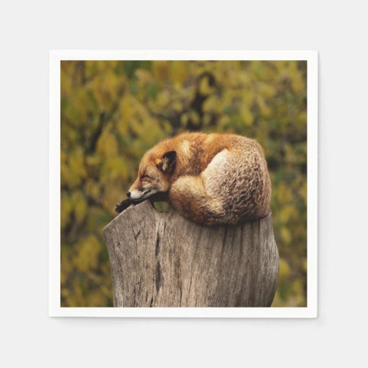 Serviette En Papier photo fox dormant (Devant)