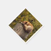 Serviette En Papier photo fox dormant (Coin)