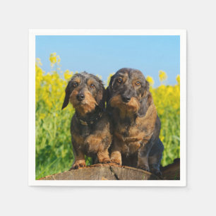 Serviette En Papier Photo mignonne d'animal familier de deux de