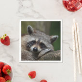 Serviette En Papier Photo Raccoon (En situation)