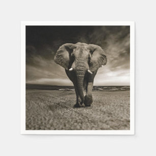 Serviette En Papier Photo Wildlife Bull Elephant