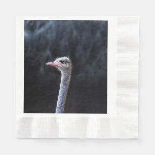 Serviette En Papier Photographie d'autruche