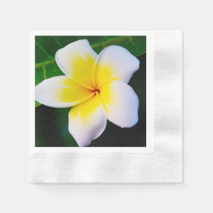 Serviette En Papier Photographie florale de frangipanier tropical
