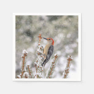 Serviette En Papier Pic à ventre rouge dans la neige