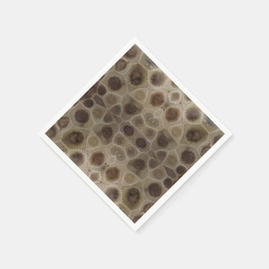 Serviette En Papier Pierre de Petoskey Michigan État fossile de pierre (Coin)