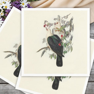 Serviette En Papier Pigeon à tête blanche,