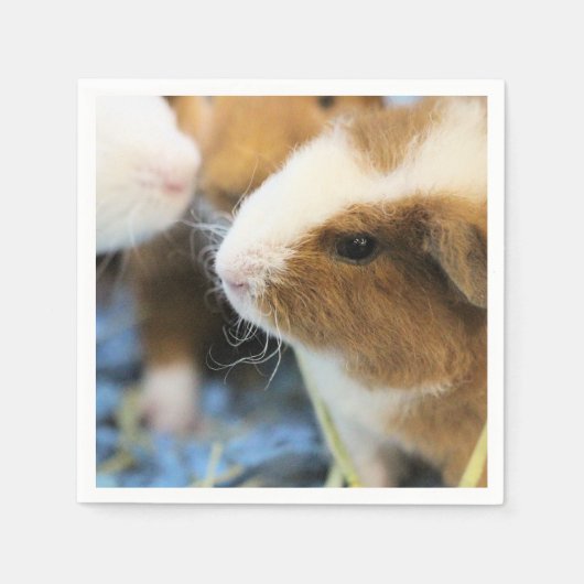 Serviette En Papier Piggy (Devant)