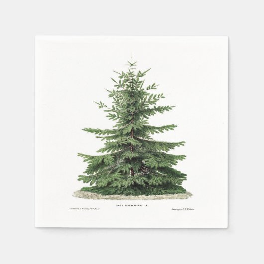 Serviette En Papier Pine Tree Noël Fête Dîner de fête Naples (Devant)