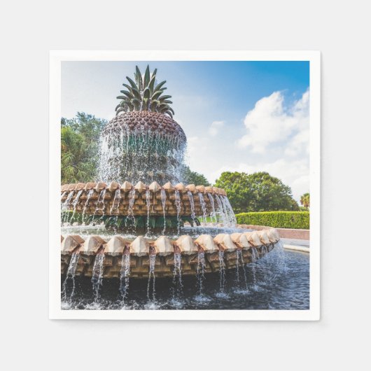 Serviette En Papier Pineapple Fountain à Charleston (Devant)