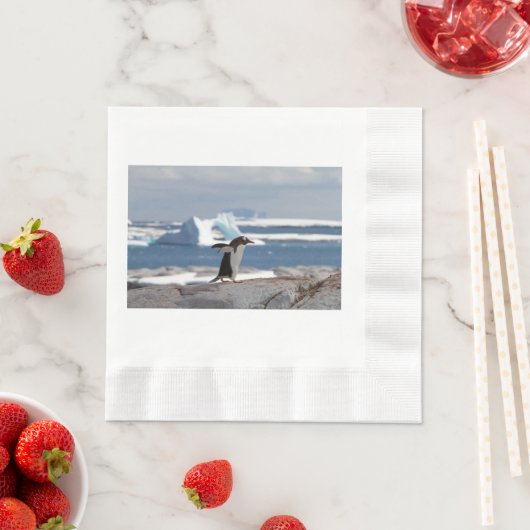 Serviette En Papier Pingouin devant une arche de glace (En situation)