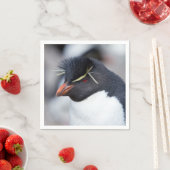 Serviette En Papier Pingouin du sud de Rockhopper (En situation)