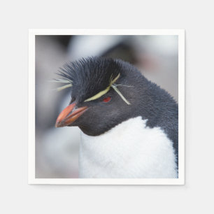 Serviette En Papier Pingouin du sud de Rockhopper