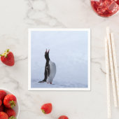 Serviette En Papier Pingouin Gentoo (En situation)