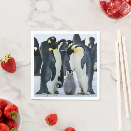 Serviette En Papier Pingouins empereurs (En situation)