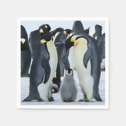 Serviette En Papier Pingouins empereurs (Devant)