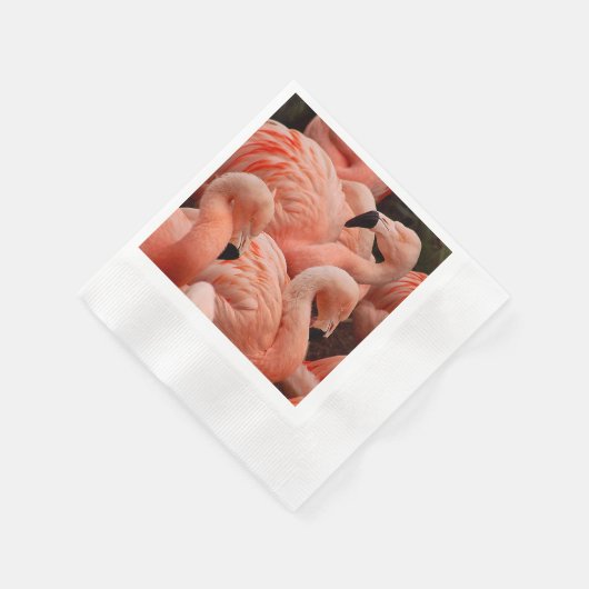 Serviette En Papier Pink flamingos (Coin)
