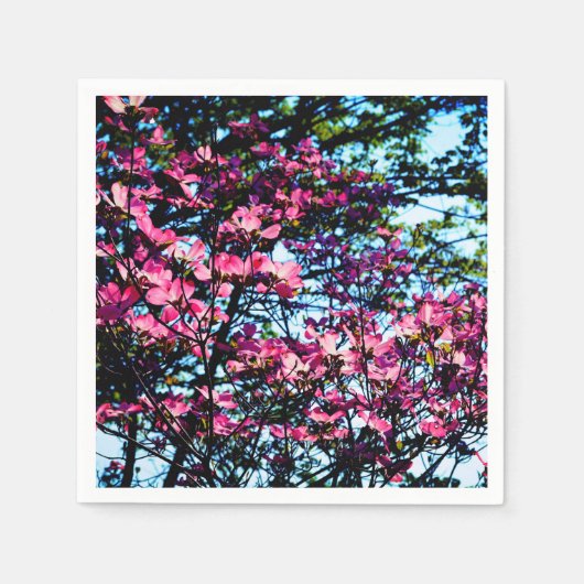 Serviette En Papier Pink flowering Dogwood tree (Devant)
