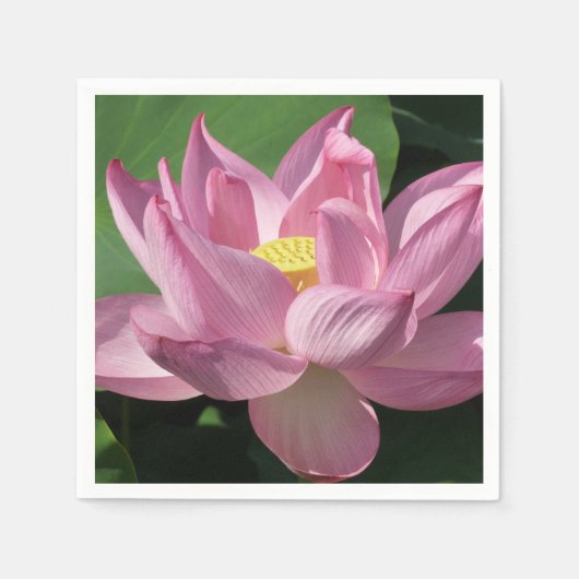 Serviette En Papier Pink Lotus Flower IV (Devant)