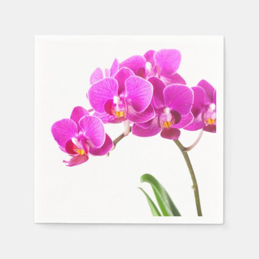 Serviette En Papier Pink violet Dendrobium Orchidée Fleur tropicale (Devant)
