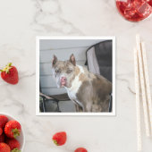 Serviette En Papier Pit Bull (En situation)