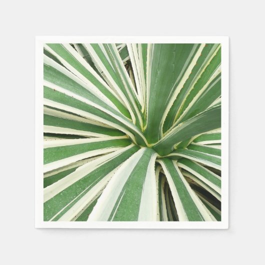 Serviette En Papier Plante Agave Vert et blanc rayé (Devant)