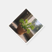 Serviette En Papier Plante de Dionée Attrape-Mouche en Pot avec des Mo (Coin)